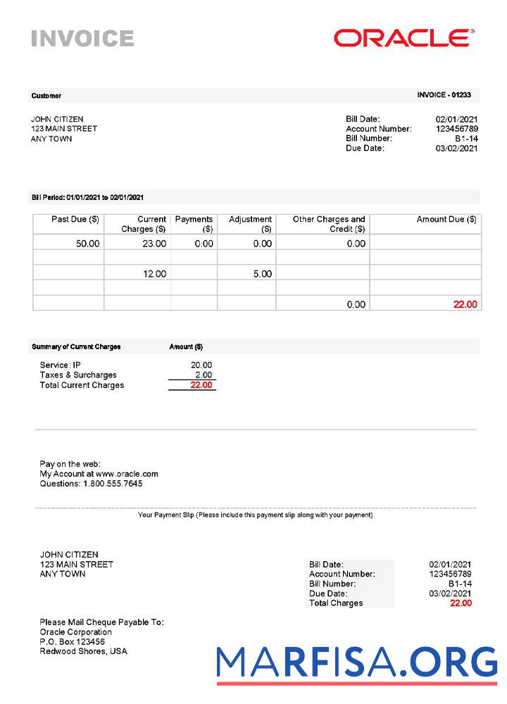 Downloadable USA Oracle invoice real example